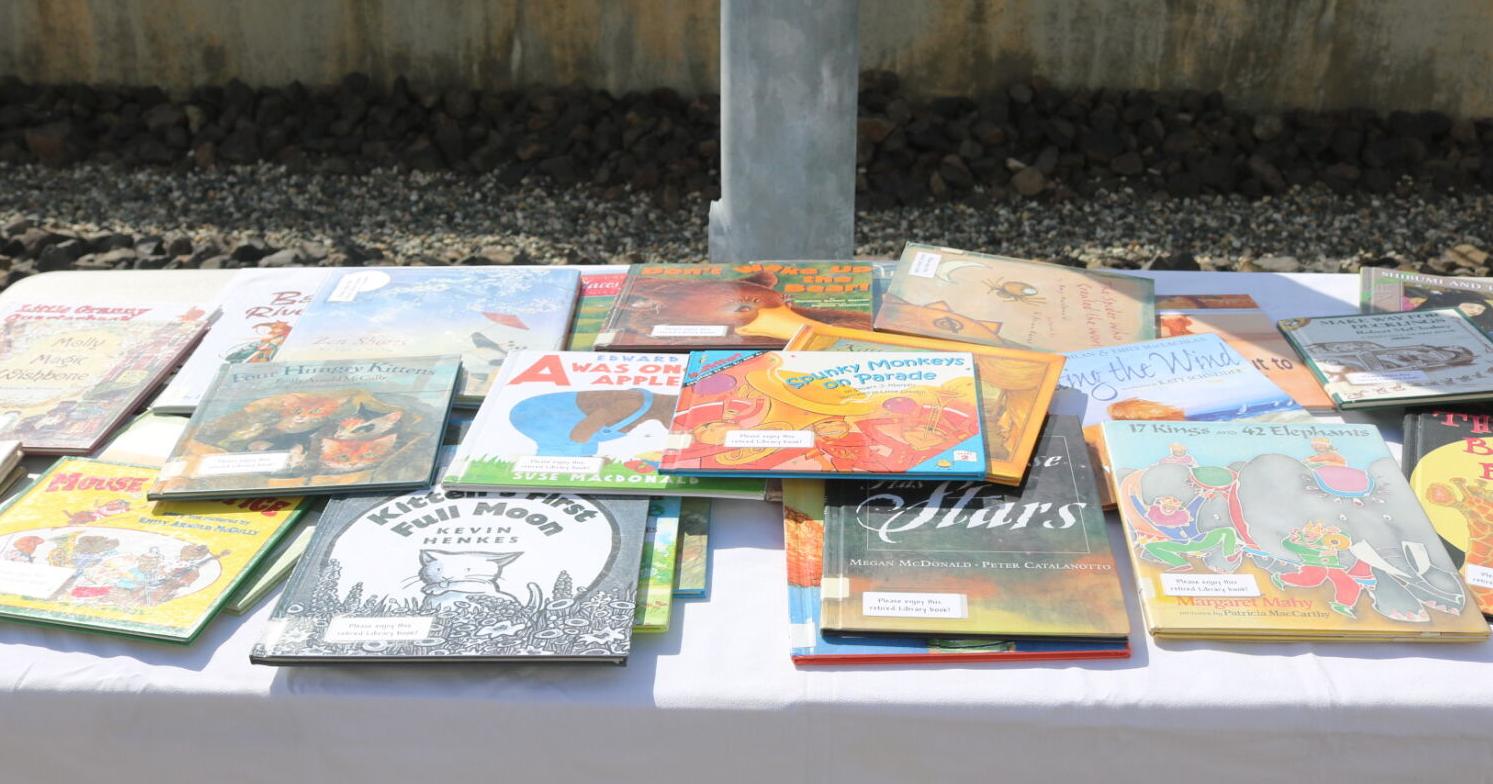 Be they public, private or imagined, libraries offer an expansive world - Vimarsana News