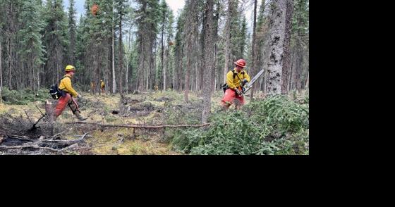 Evacuation is at 'go' for Teklanika River, Rose Hip Creek residents - Vimarsana News