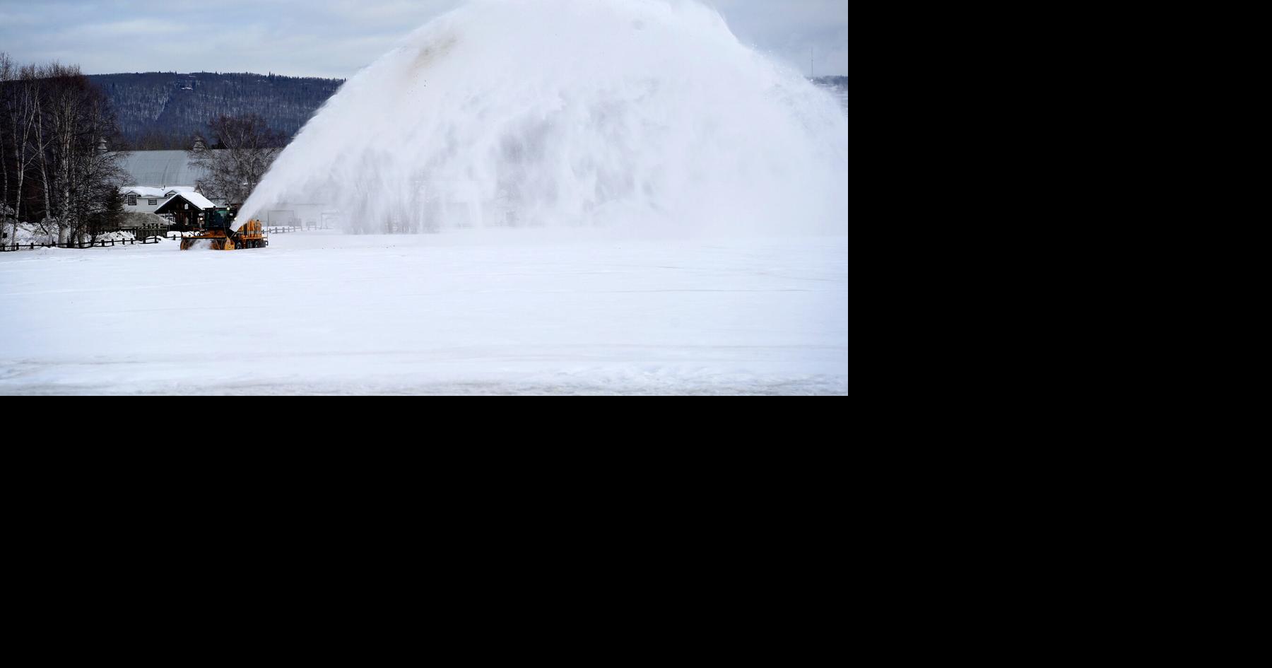 Sowing first signs of spring: Creamer's Field prepares for returning birds