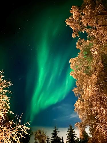Goldstream nights, Goldstream lights