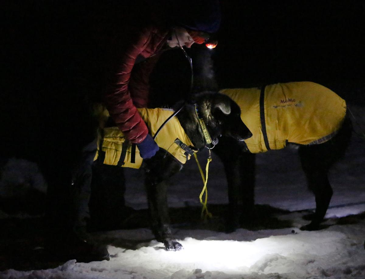 First Mushers into Eagle