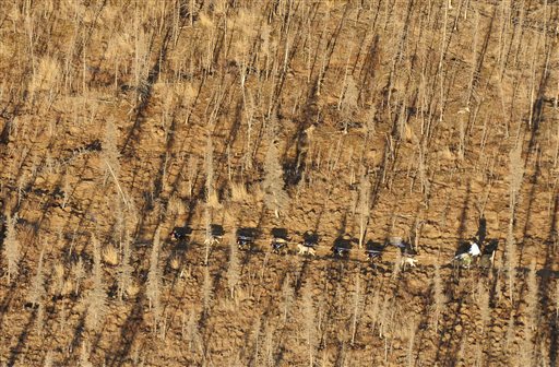 2014 Iditarod Farewell Burn
