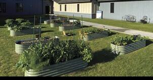 North Haven Communities at Fort Wainwright launches its first Community Garden - Vimarsana News