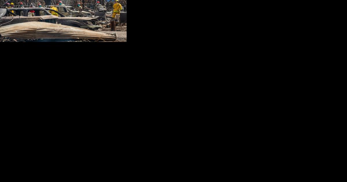 DOD personnel working with Hawaii, FEMA officials to speed relief to Maui - Vimarsana News