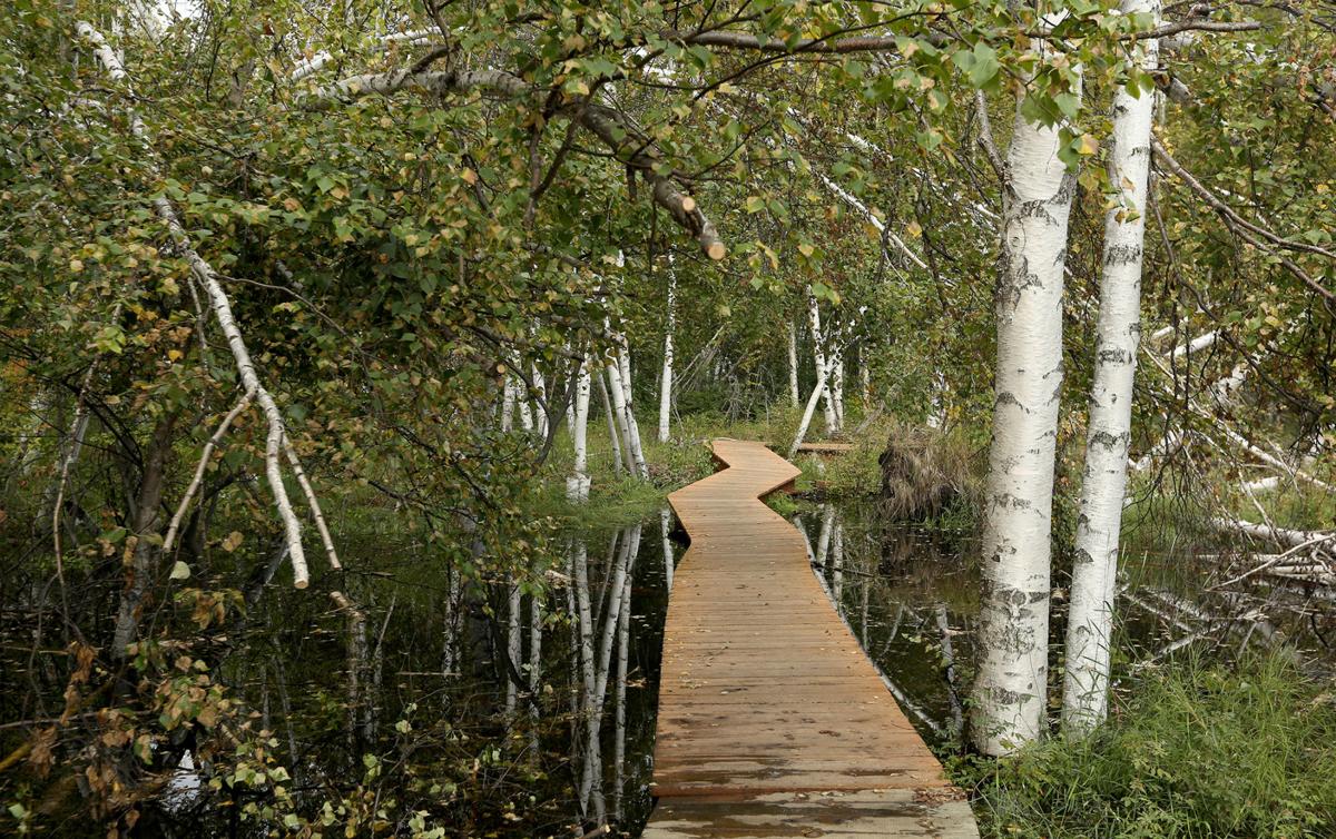 Why I love Creamer’s Field Our Town