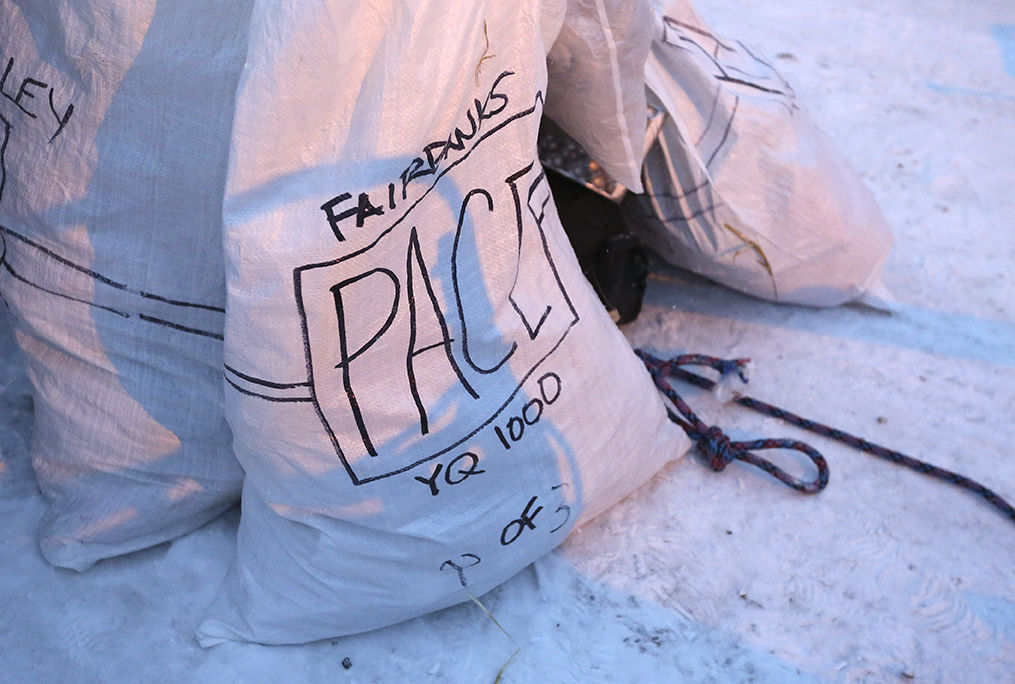 Yukon Quest Start