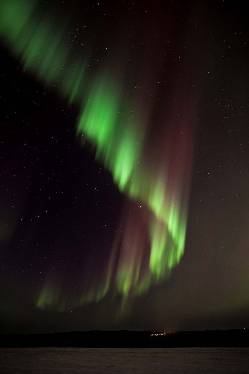 st patricks day aurora dunedin