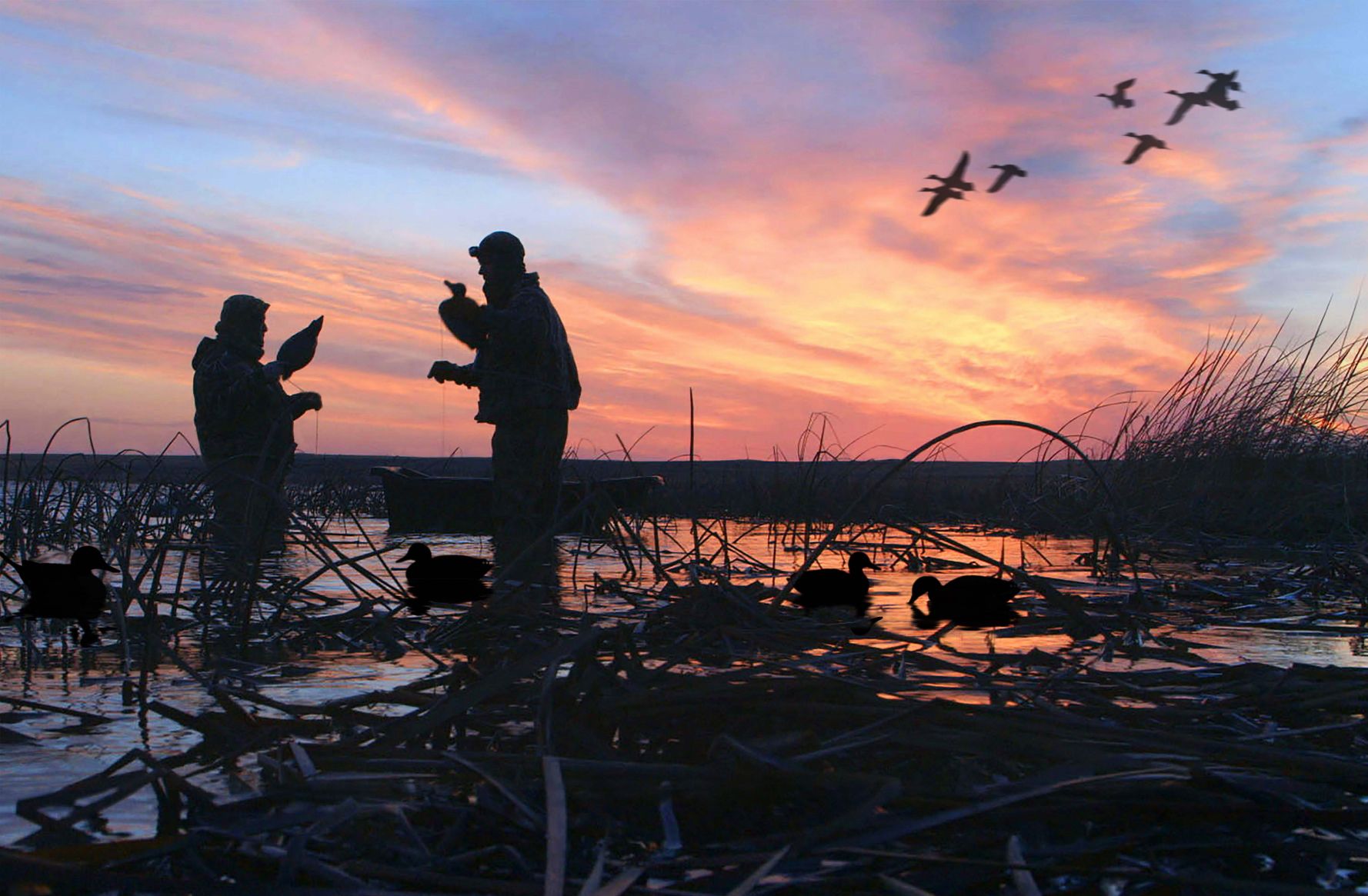 How A Two-time Federal Duck Stamp Art Contest Winner Came To Support ...