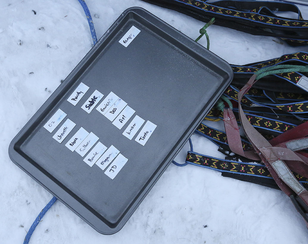Yukon Quest Start