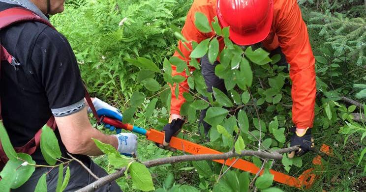 Week highlights work against invasive species in Alaska