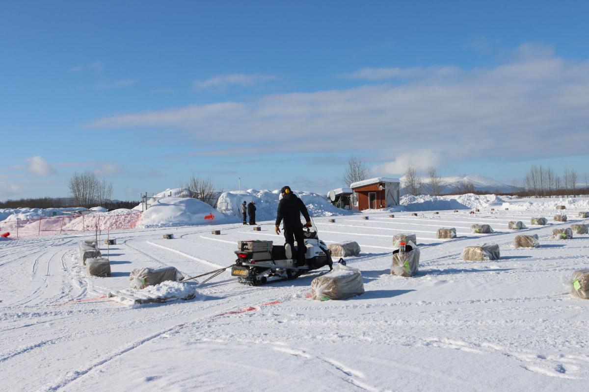 Iditarod McGrath