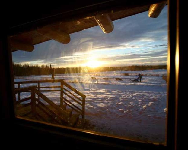 Warmth brings mushers out to Fairbanks sled dog race Local