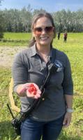 Second annual Anderson Strawberry Festival is Saturday