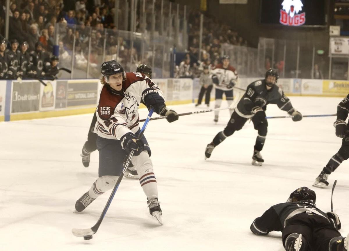 Ice Dogs pile on the goals, Hargraves posts shutout in largest victory of  the season