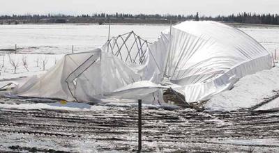 Demise of UAF greenhouse tunnels shouldn't cripple research ...