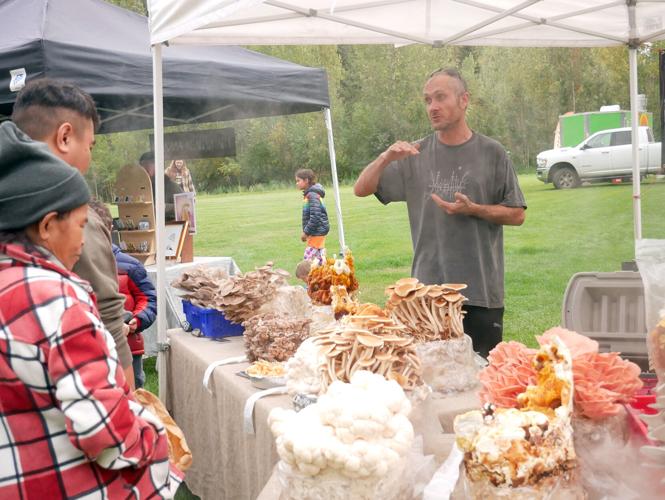 Fairbanks Fungi Festival cultivates a culture of knowledge Local News