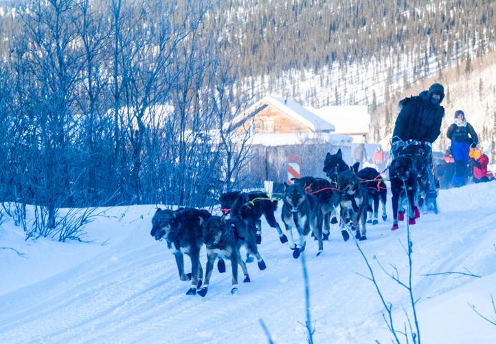 Up and over Summit Quest's famed hills live up to their wild reputation Yukon Quest