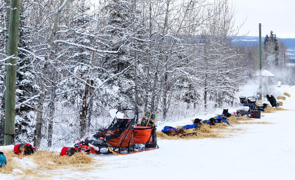 Crowded Carmacks Checkpoint Yukon Quest