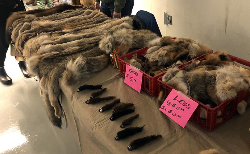 Tanana Valley Sportsmen’s Association gun show returns to Fairbanks
