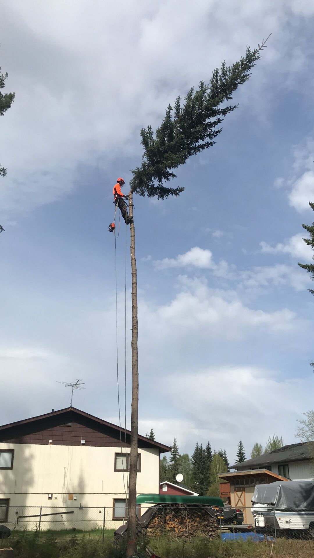 Making the cut: Husband and wife team tackle trees together | Local  Business | newsminer.com
