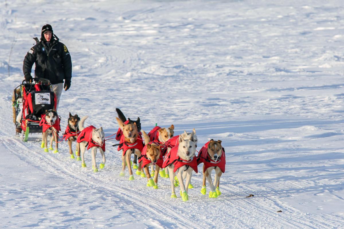 2019 Yukon Quest - Eagle