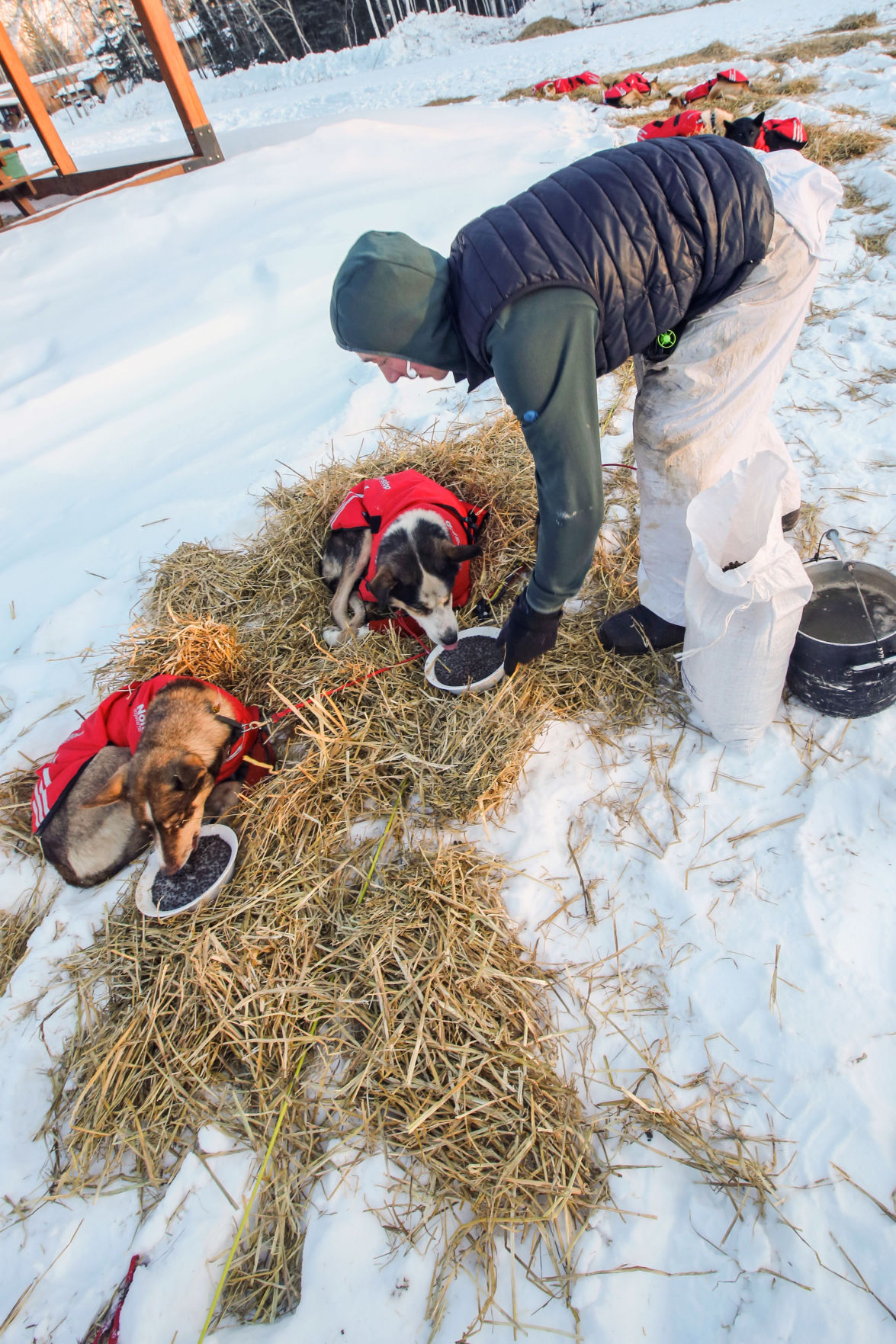 2019 Yukon Quest - Eagle