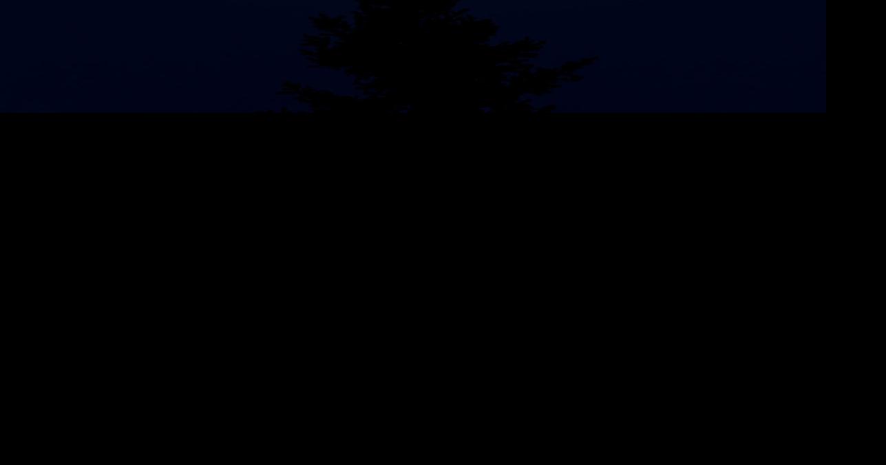 Creating your own luck with dedication, preparation and innovation