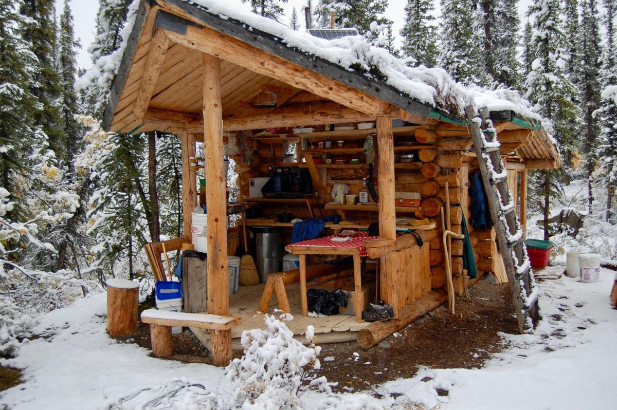 Rewilding Kernwood Giving A Home Back To Alaska Sundays Newsminer Com