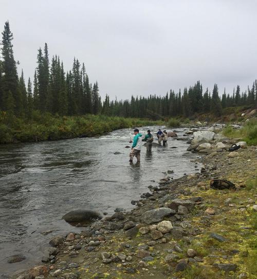 Fly fishing