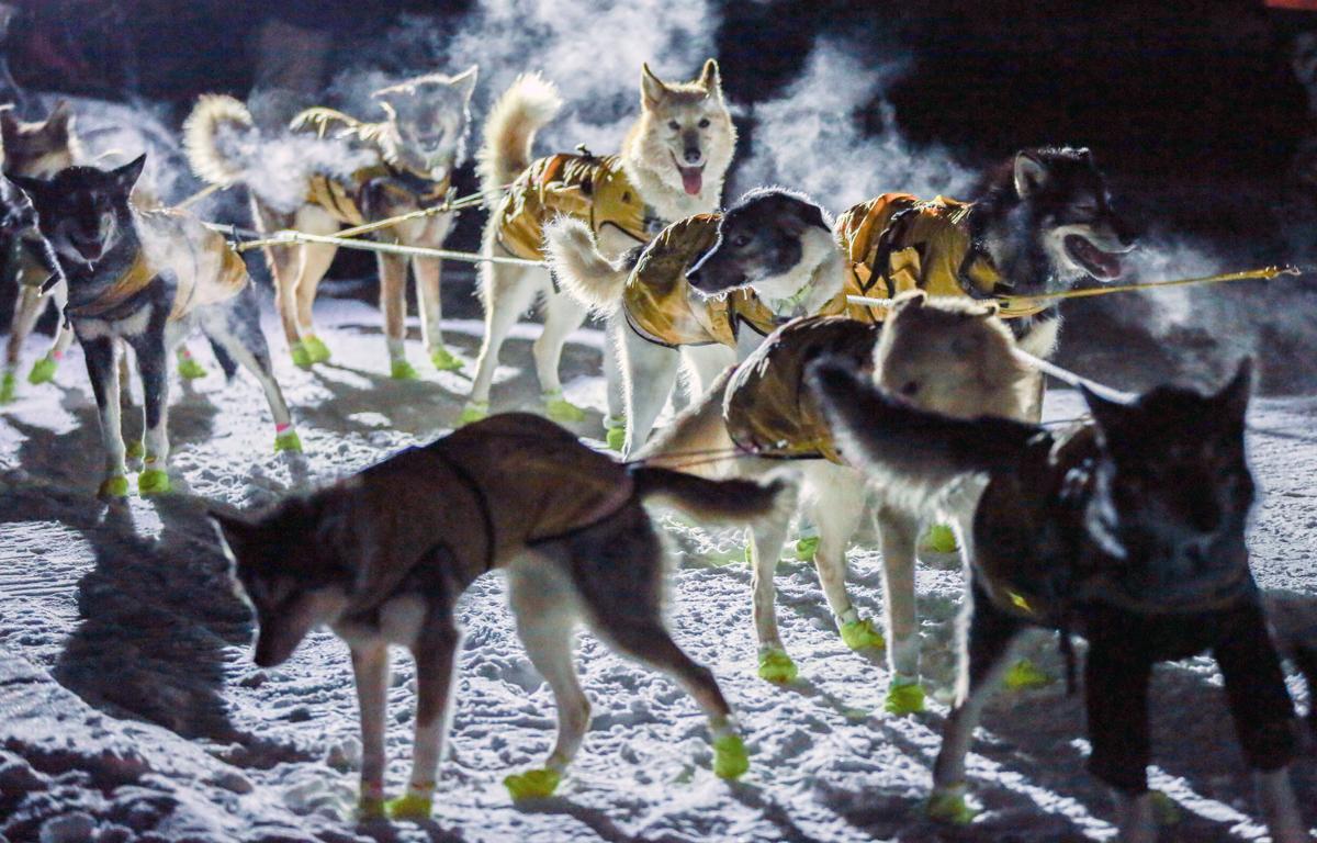 2019 Yukon Quest - Eagle