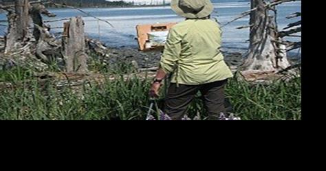Artists chosen for 2024 Voices of the Wilderness residency program - Vimarsana News
