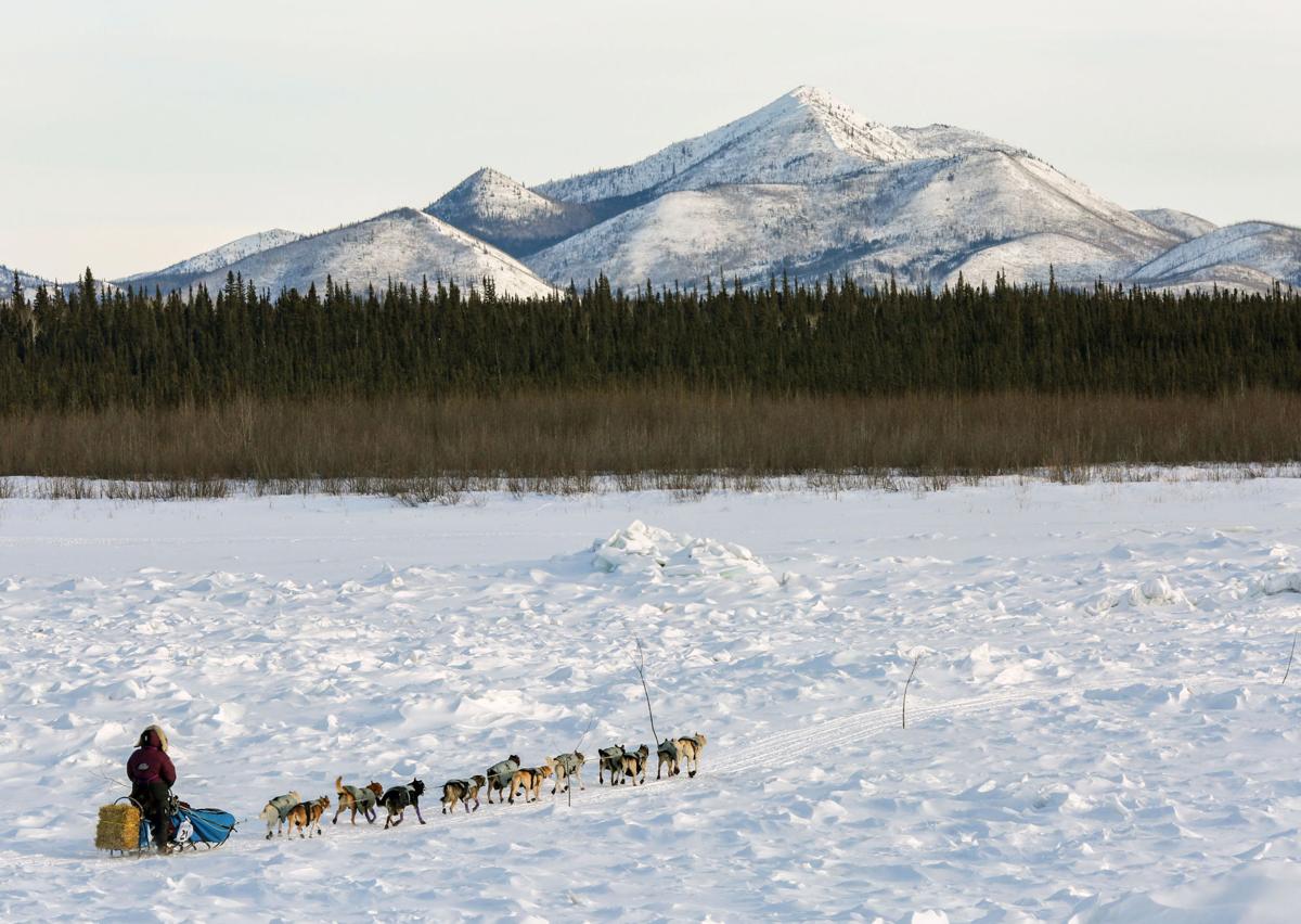 2019 Yukon Quest - Eagle