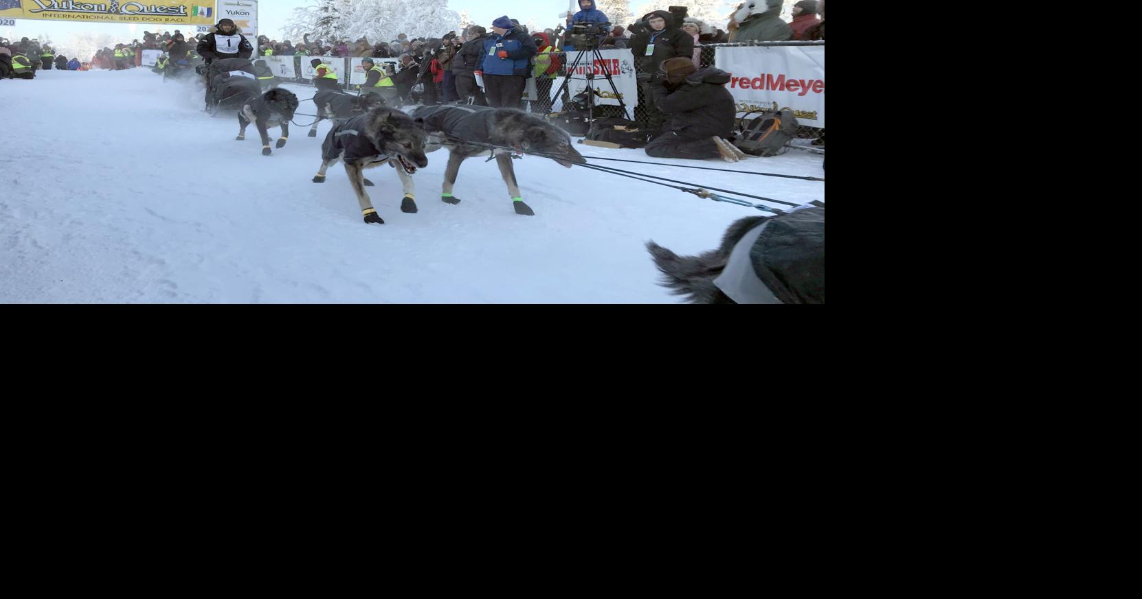 Yukon Quest applies for tax exemption on First Avenue log cabin Local