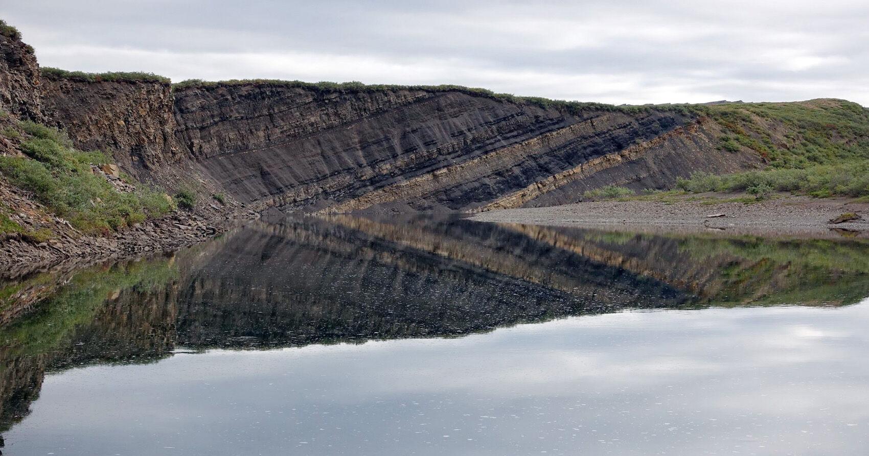 Alaska dinosaur tracks reveal a lush, wet environment - Vimarsana News