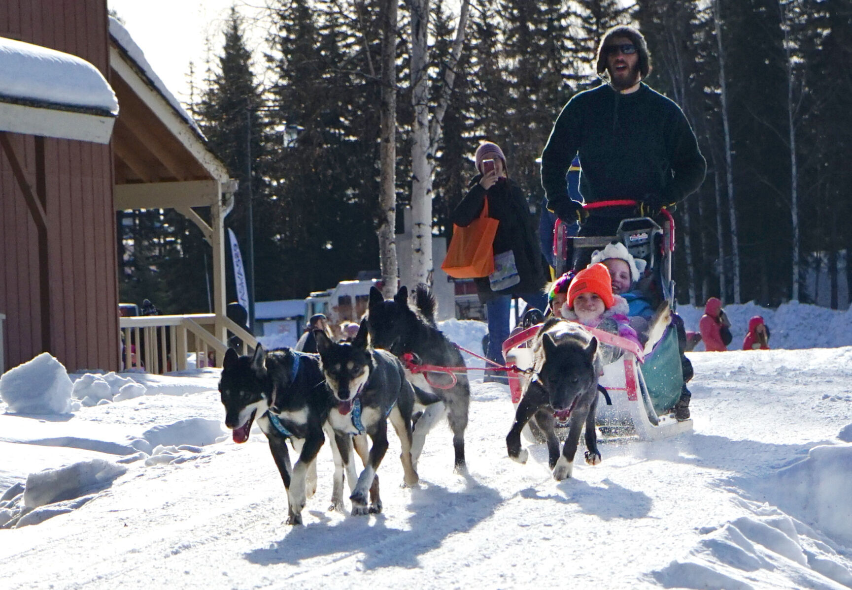 Mush mush dog sales sled