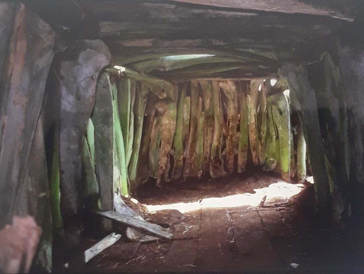 Photo collection shows a Point Hope of the past Community Features