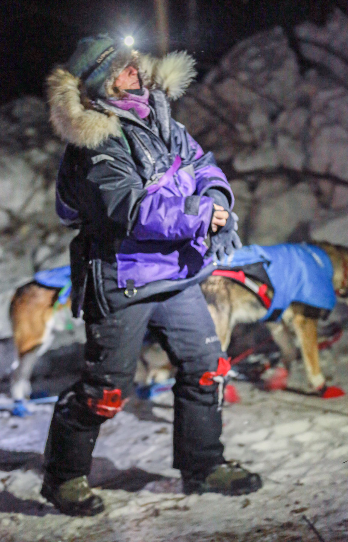 2019 Yukon Quest - Eagle