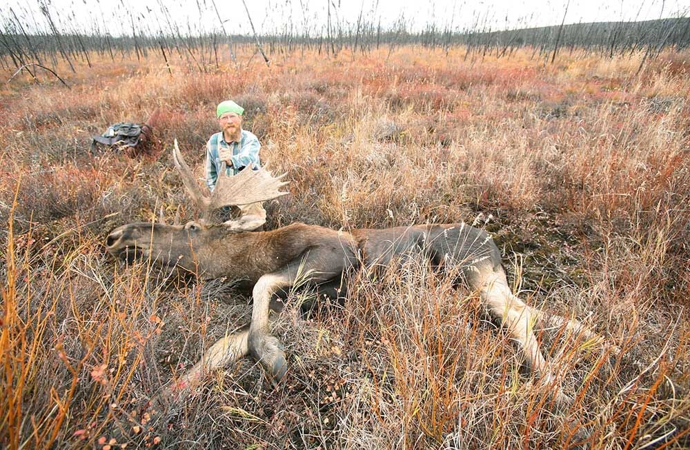 Field dressing a moose key to a successful hunt | Outdoors | newsminer.com