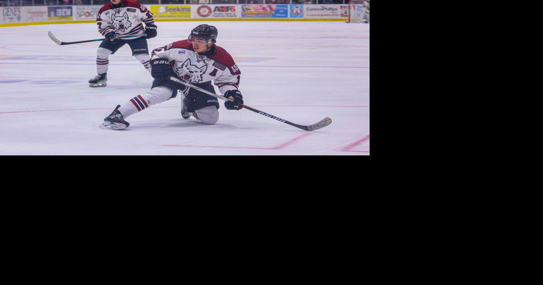 Ice Dogs set for final roadtrip of the season at Kenai River