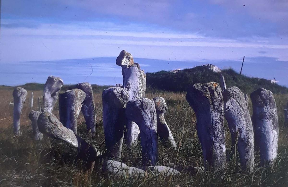 Photo collection shows a Point Hope of the past Community Features