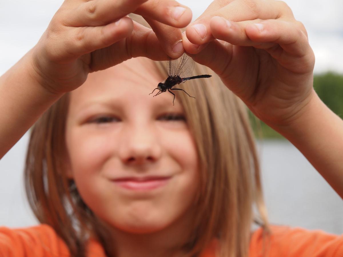 Dragonfly Day Local News