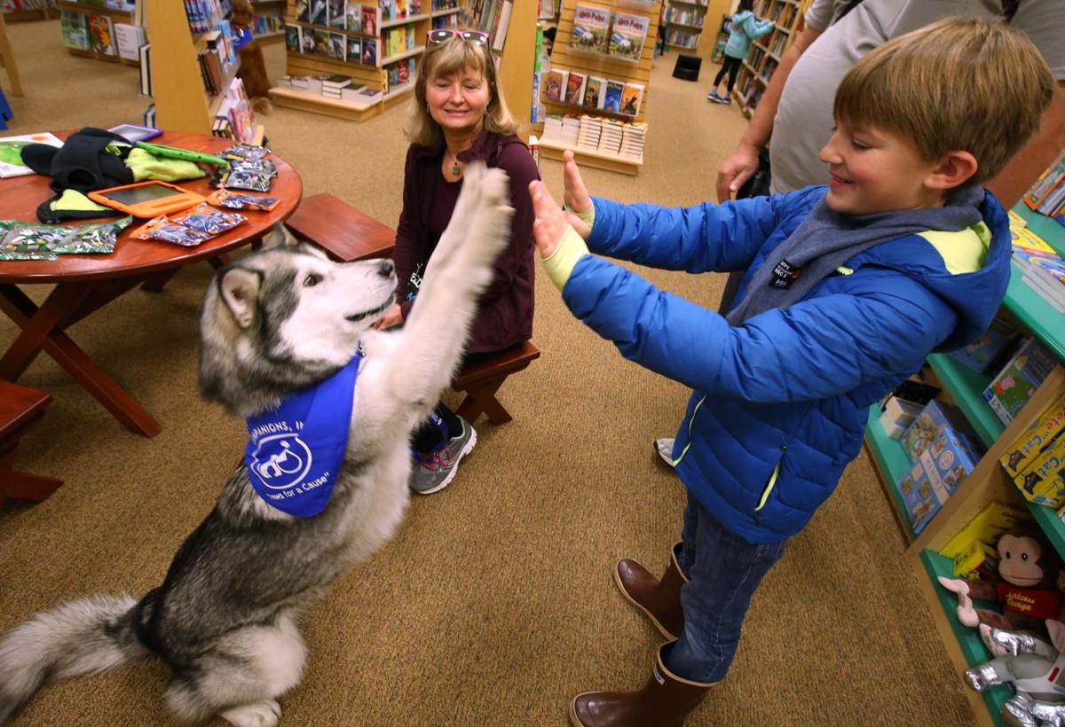 Ruff day for service dogs Barnes and Noble hosts annual book fair to