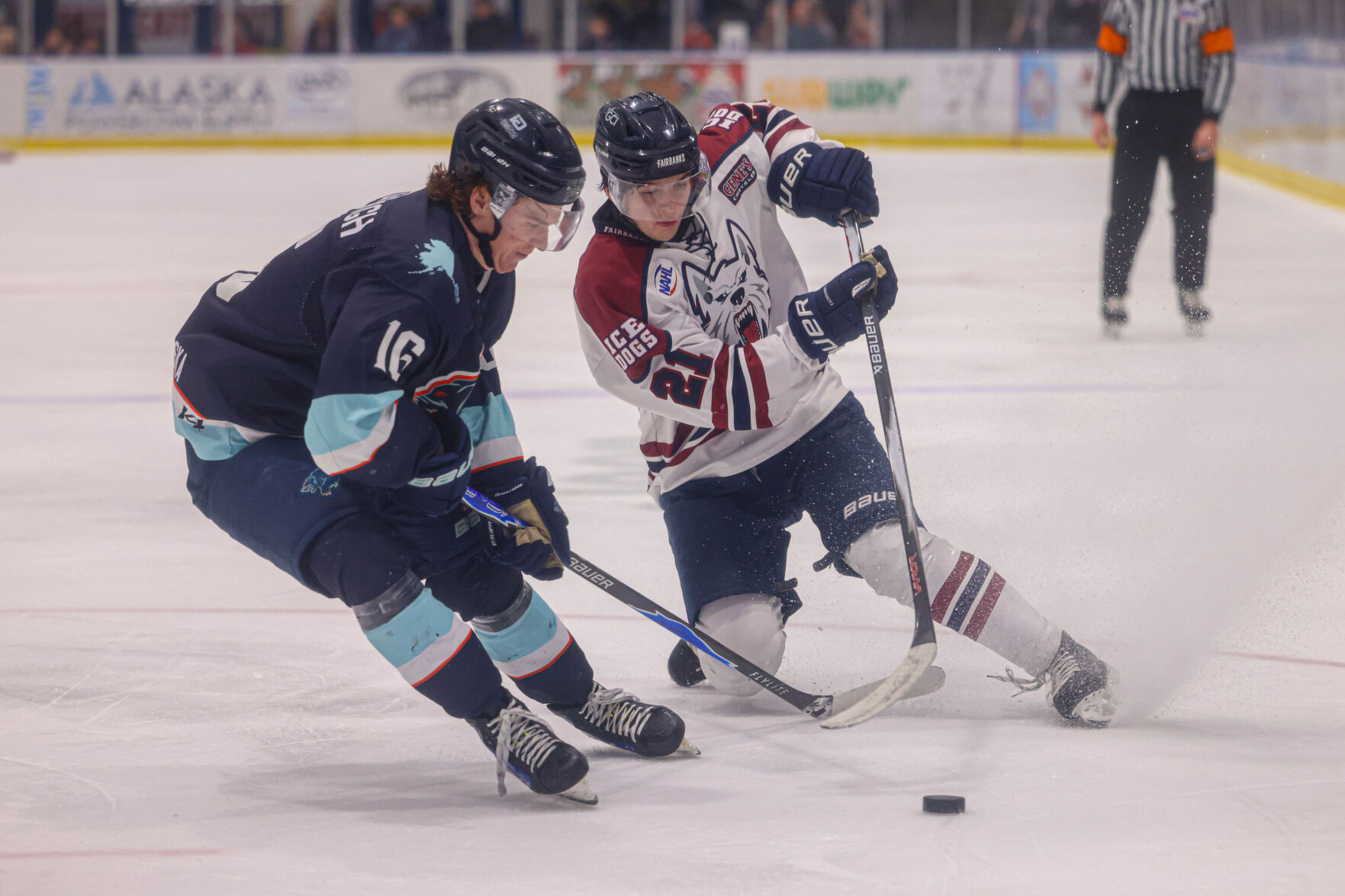 Ice Dogs split final series of season against Anchorage | Ice Dogs ...