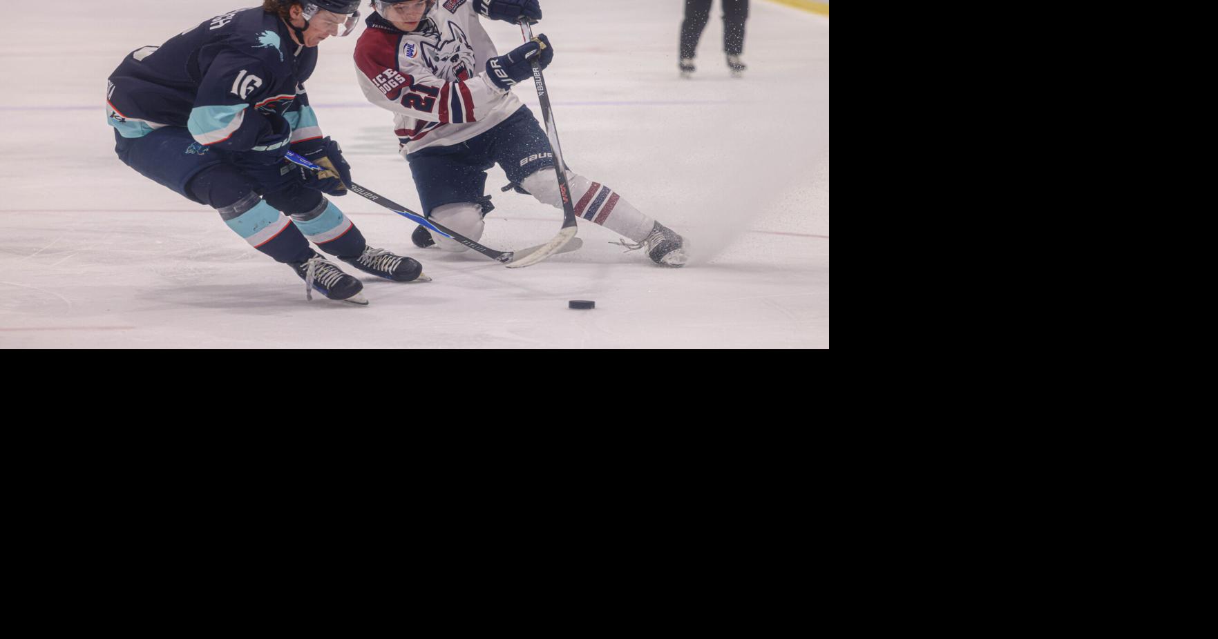 Ice Dogs clinched season series against Anchorage