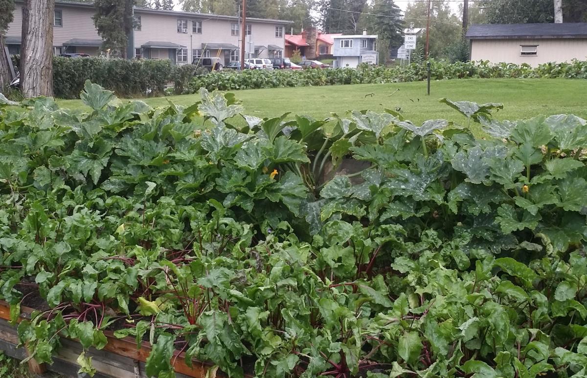 Prepare your soil for gardening season | Gardening | newsminer.com