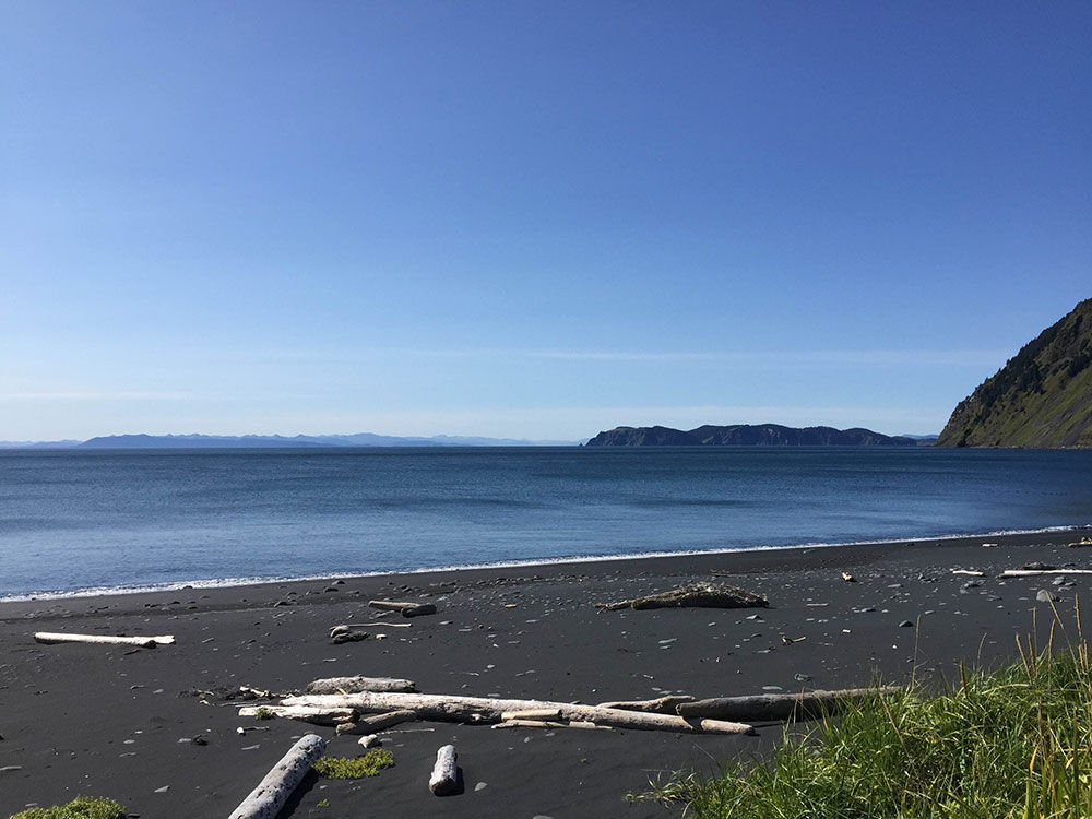 Public use cabin a good base for Afognak Island deer hunt | Outdoors ...