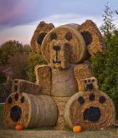 Hay bale decorating contest set to kick off