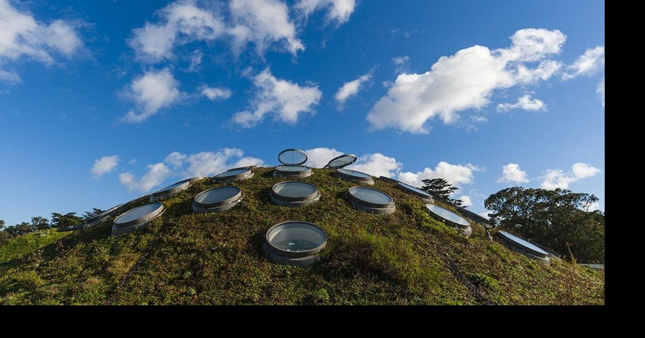 The huge, untapped potential of planting rooftop gardens in cities Matt Simon for Grist May 13, 2026 May 13, 2026 Updated 7 mins ago
