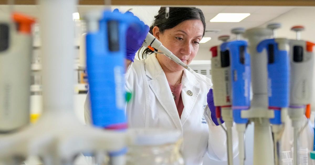 Tools to fight hantavirus show promise despite limited funding. Now researchers hope to continue There were no treatments or vaccines to protect people during the recent hantavirus outbreak on a cruise ship By NAYARA BATSCHKE and SUSAN MONTOYA BRYAN - Associated Press Jun 3, 2026 Jun 3, 2026 Updated 52 mins ago