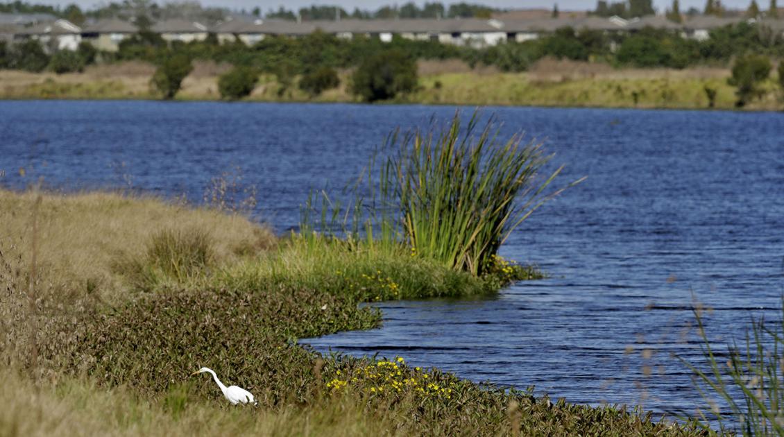 Trump rollback could leave waterways vulnerable to pollution - News-Press Now